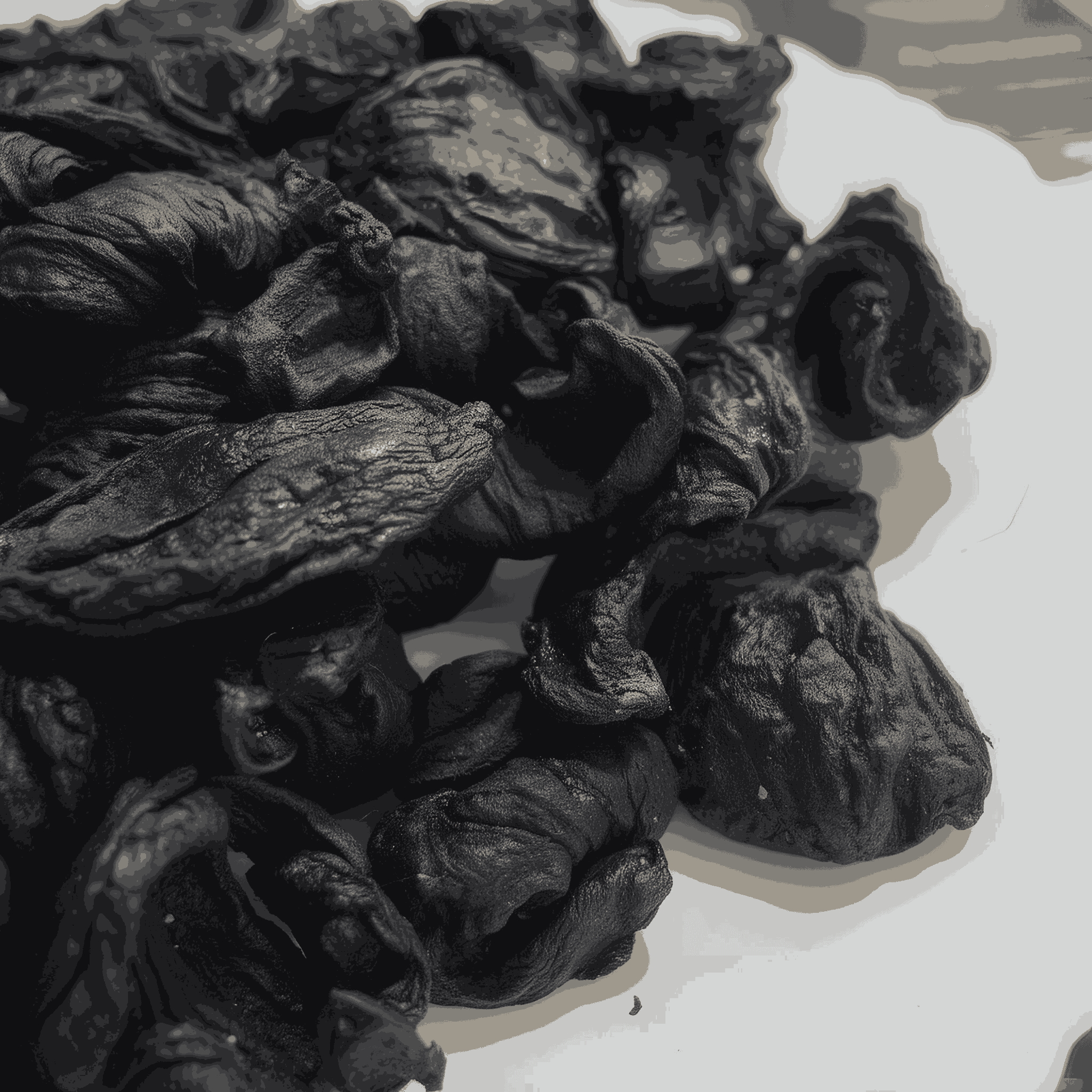 Kudampuli
